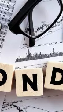 14 pc bond returns: Higher income or higher risk? What investors should know 14 pc bond returns: Higher income or higher risk? What investors should know