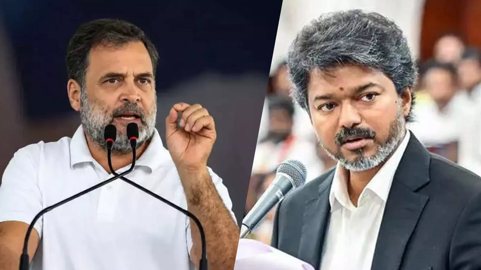 Vijay or Rahul for PM in 2029? Why the new TVK-Congress alliance is under strain Vijay or Rahul for PM in 2029? Why the new TVK-Congress alliance is under strain