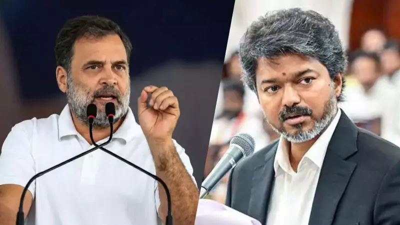 Vijay or Rahul for PM in 2029? Why the new TVK-Congress alliance is under strain Vijay or Rahul for PM in 2029? Why the new TVK-Congress alliance is under strain
