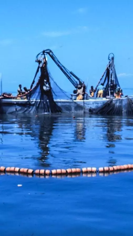How fishing-permit delays became an ‘unwritten ban’: SC’s purse-seine ruling decoded How fishing-permit delays became an ‘unwritten ban’: SC’s purse-seine ruling decoded