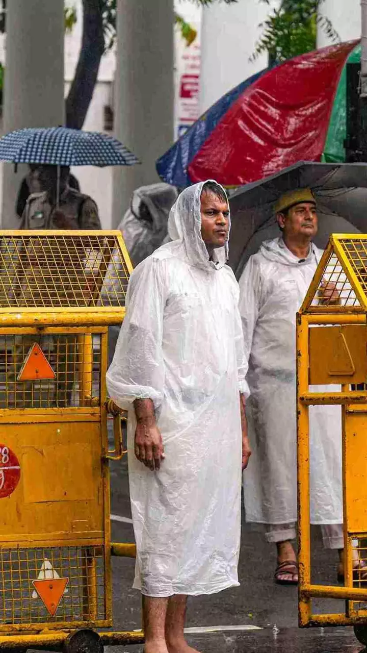Delhi police Delhi police