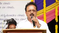 N Chaluvarayaswamy, bribery charge, probe