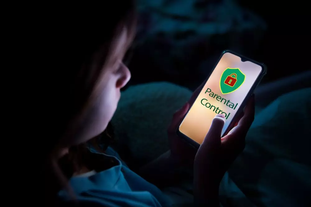Experts want responsibility to extend beyond parental supervision to the companies operating social media platforms. Photo: iStock