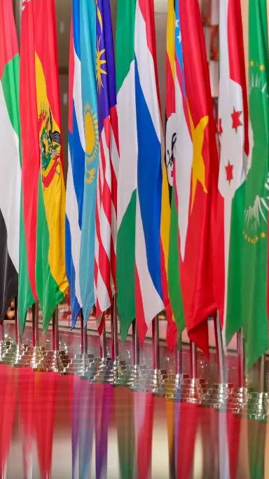 BRICS New Delhi Declaration: A diplomatic win, but little else BRICS New Delhi Declaration: A diplomatic win, but little else