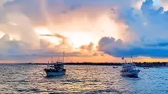 fishing boats