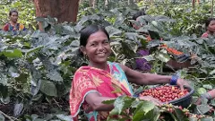 World Coffee Day October 1: Why for Indian aficionados it’s time to look beyond traditional home brews