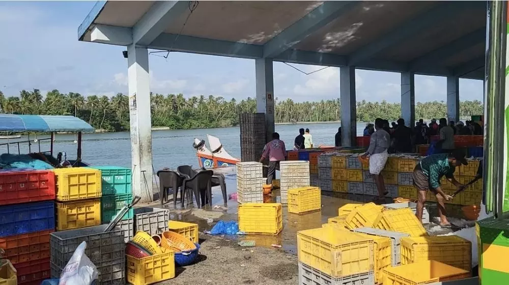 A fishing harbour in Keralam. Photo: Rajeev Ramachandran