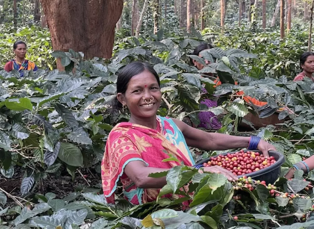 World Coffee Day October 1: Why for Indian aficionados it’s time to look beyond traditional home brews World Coffee Day October 1: Why for Indian aficionados it’s time to look beyond traditional home brews