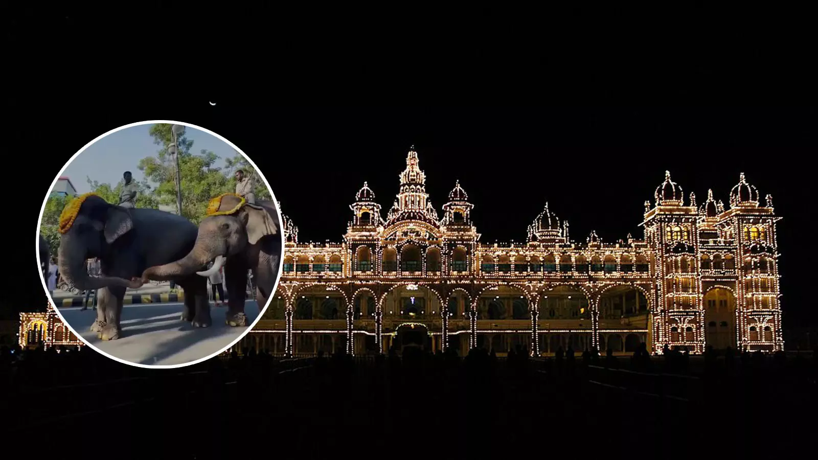 Mysuru Dasara love story: Mahendra and Lakshmi, the Kumki pair, steal the show Mysuru Dasara love story: Mahendra and Lakshmi, the Kumki pair, steal the show