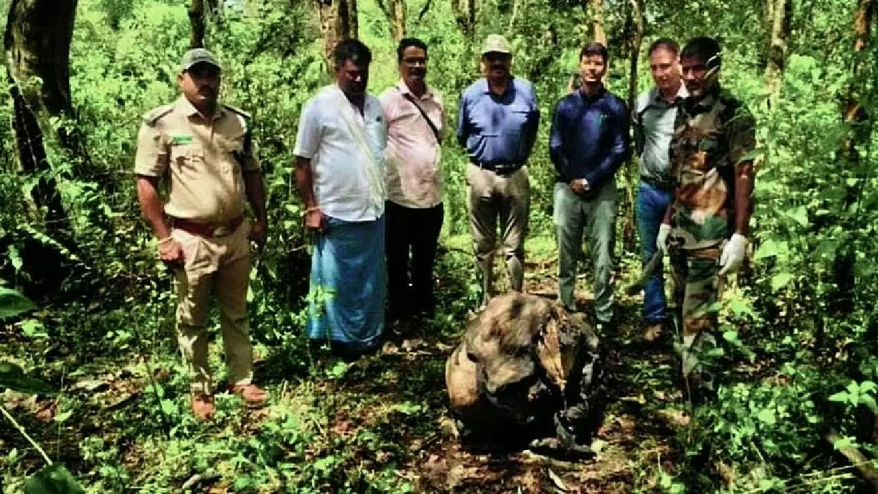 Bandipur Bandipur