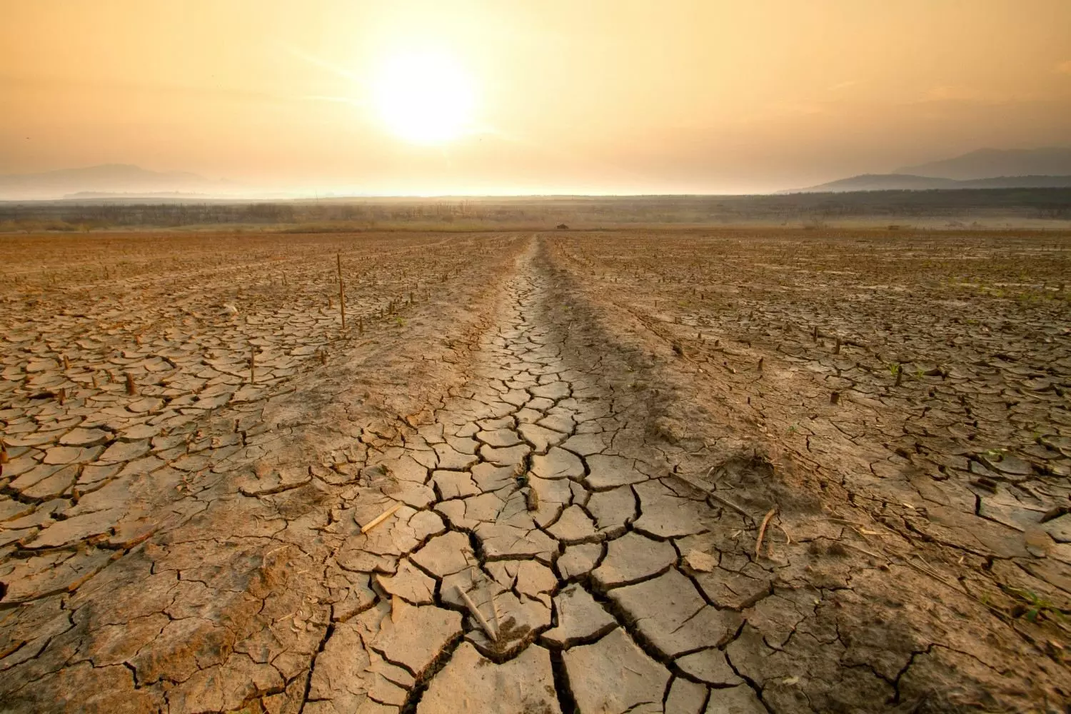 Drought Drought