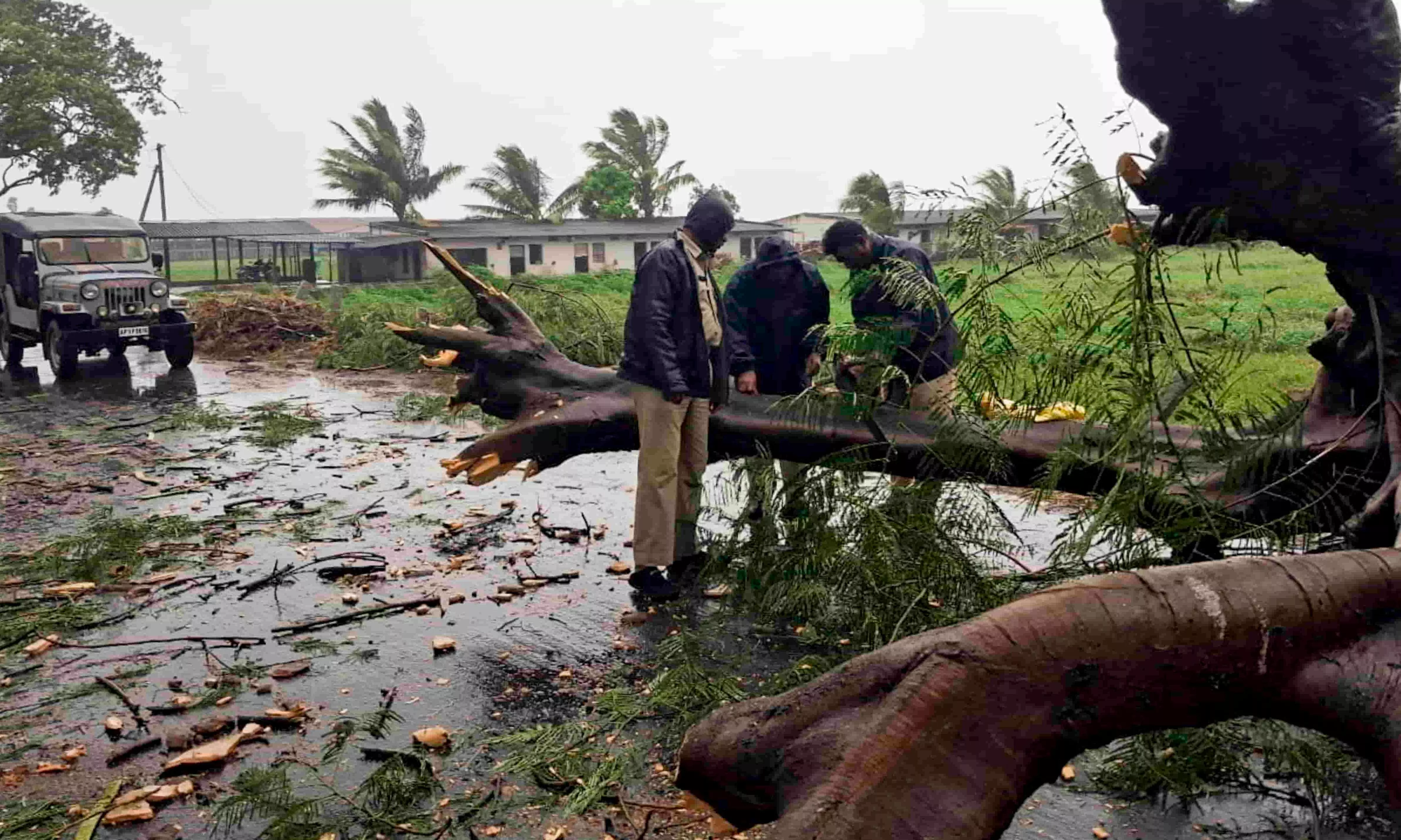 Andhra Police and State Disaster Response Force (SDRF) personnel cut and clear a large uprooted tree blocking a road