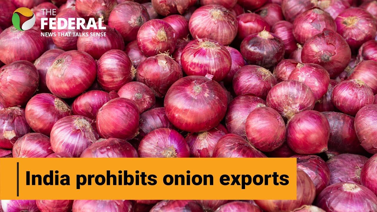 Indias onion export ban until March 2024 sparks concern: Why it matters