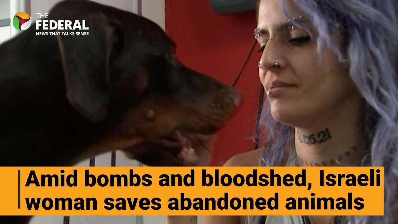 Israeli womans heroic effort to rescue frightened animals after Hamas attack