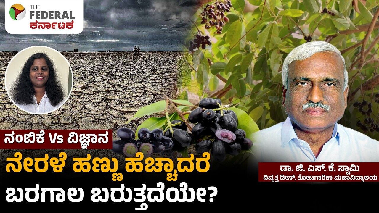 ನೇರಳೆ ಹಣ್ಣಿನ ಬಂಪರ್ ಫಸಲು: ಬರಗಾಲದ ಎಚ್ಚರಿಕೆಯೇ? ತಜ್ಞರು ಹೇಳುವುದೇನು? | Dr. G.S.K Swamy