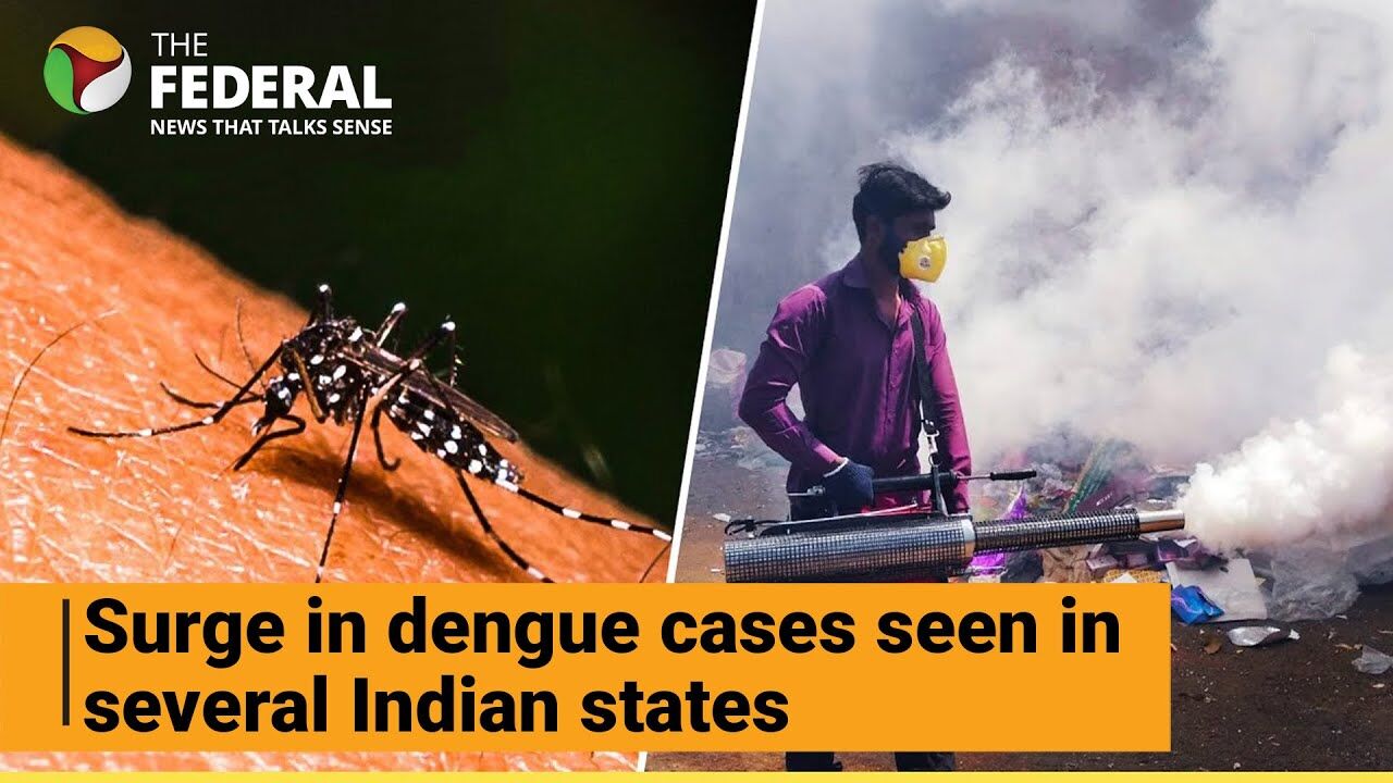Rising dengue infections prompt concerns across multiple regions