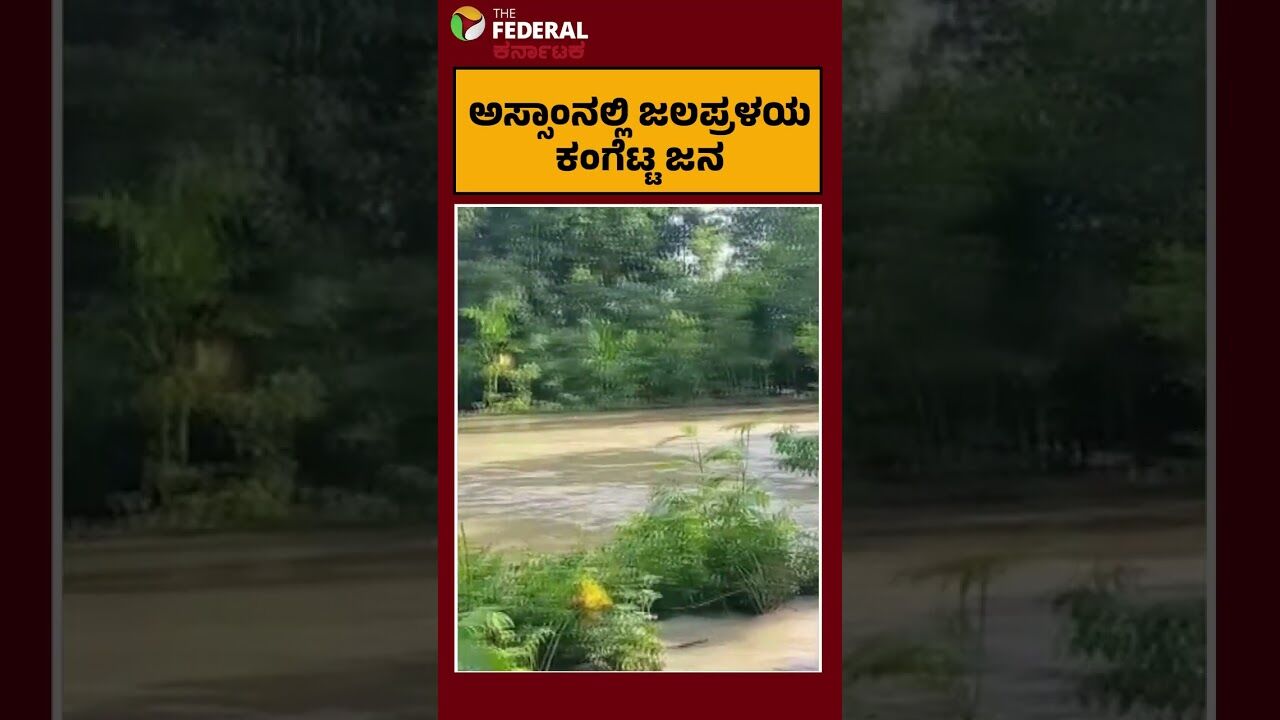 ಅಸ್ಸಾಂನಲ್ಲಿ ಭೀಕರ ಪ್ರವಾಹ: ಧನ್ಸಿರಿ ನದಿ ಉಕ್ಕಿ ಹರಿದು ಹಲವು ಗ್ರಾಮಗಳು ಜಲಾವೃತ