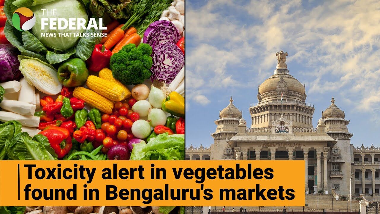Vegetables sold in Bengaluru can pose health risks, finds government study