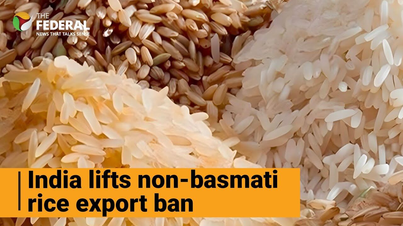 India allows non-basmati rice exports; 7 countries to get over 10 lakh tonnes