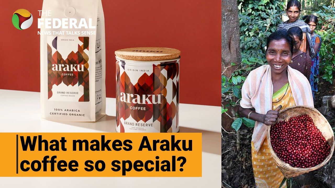 Araku Coffee brews buzz as PM Modi mentions it in Mann Ki Baat; whats so special?