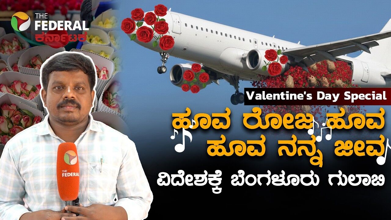 ಬೆಂಗಳೂರು ಕೆಂಗುಲಾಬಿಗೆ ಫುಲ್‌ ಡಿಮ್ಯಾಂಡ್‌; ವಿದೇಶಕ್ಕೆ ಹಾರುತ್ತಿರುವ ಹೂವುಗಳು! ರೈತರಿಗೆ ಸುಗ್ಗಿ