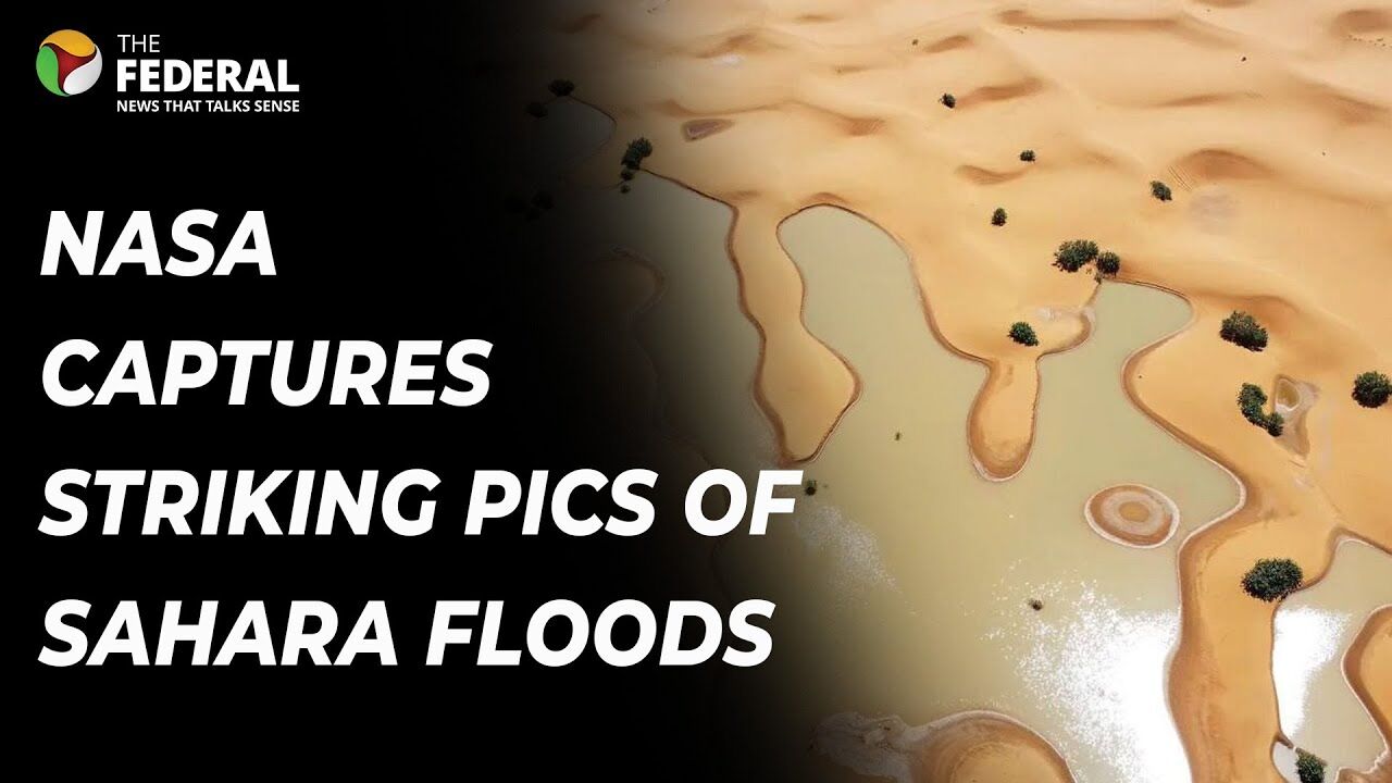 Sahara Desert witnesses floods for first time in 50 yrs; the reason will bother you